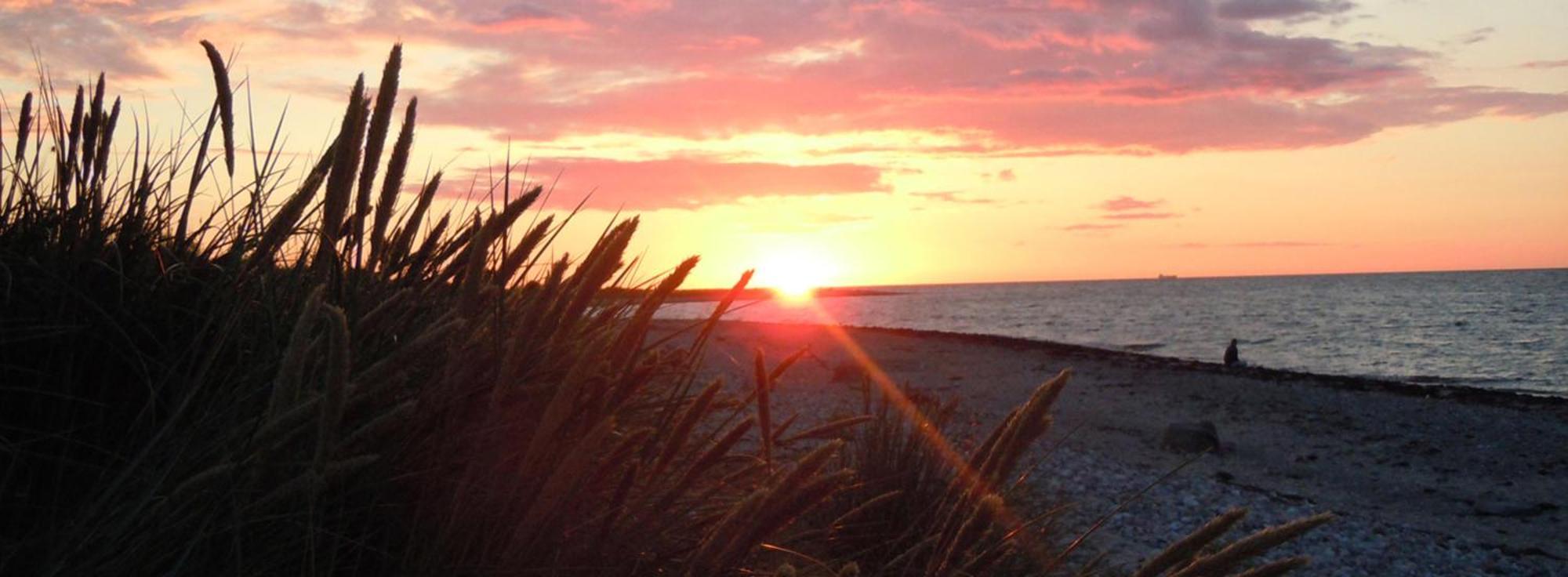 Ostsee Huus Burg auf Fehmarn Exteriör bild