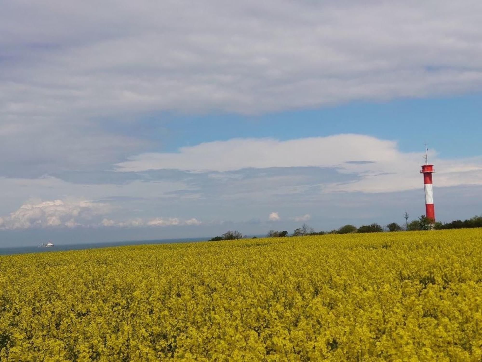 Ostsee Huus Burg auf Fehmarn Exteriör bild